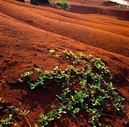 《消逝的光芒2》XSX版文件体积是PS5版的三倍